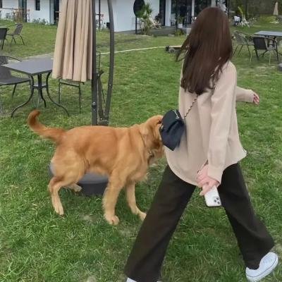一场战争