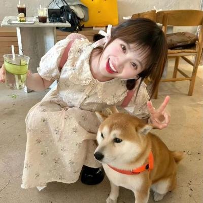 酷爱电影的庞波小姐